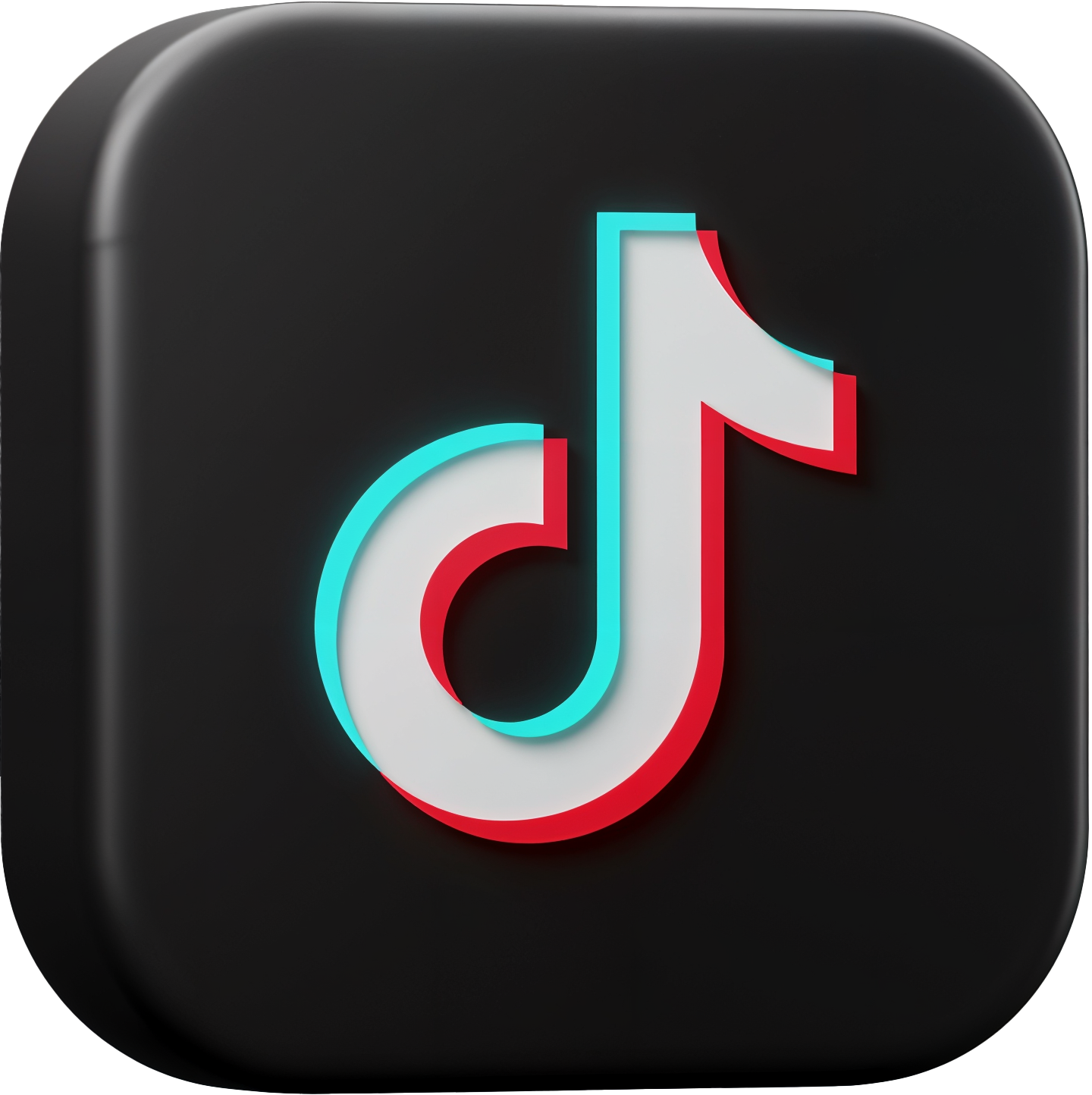 TikTok Official Partnership